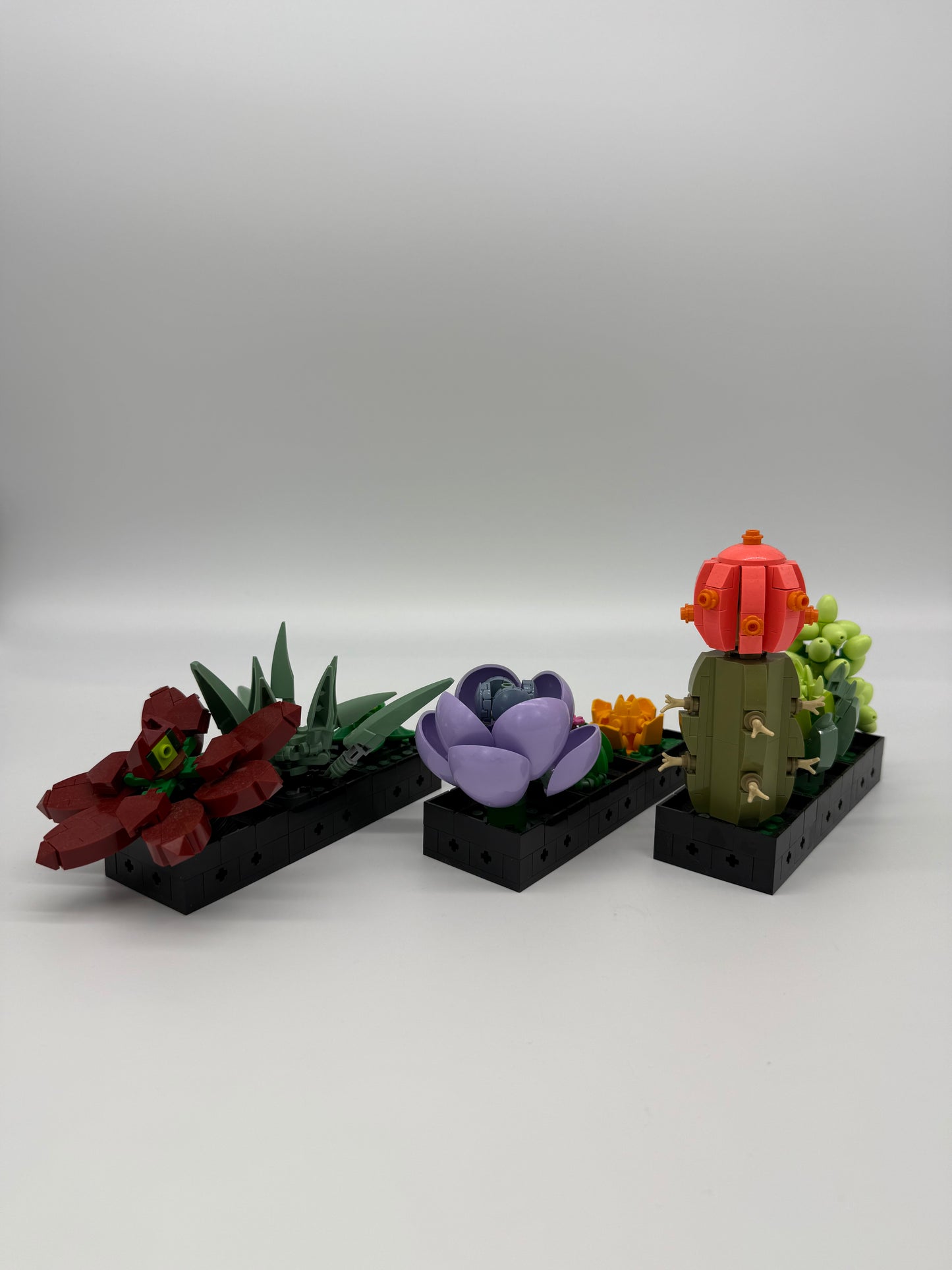 Succulents - Bricks and Minifigs Sioux Falls