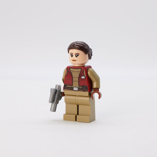 sw1303: Padme Amidala - Bricks and Minifigs Sioux Falls