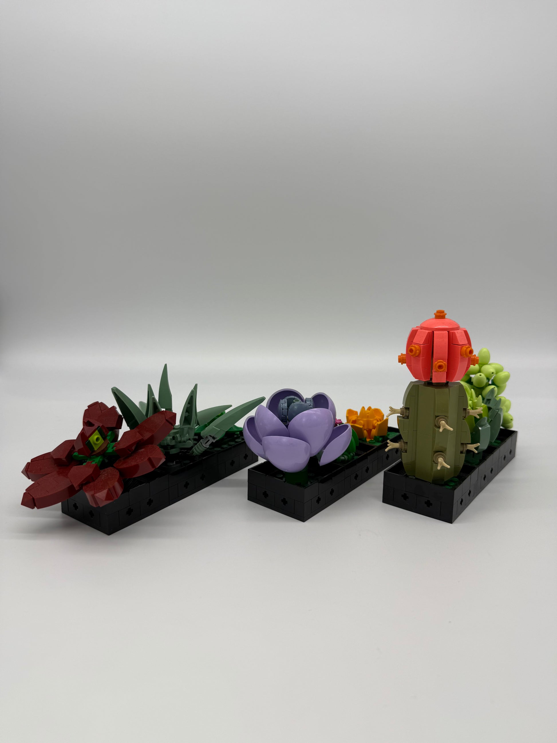 Succulents - Bricks and Minifigs Sioux Falls