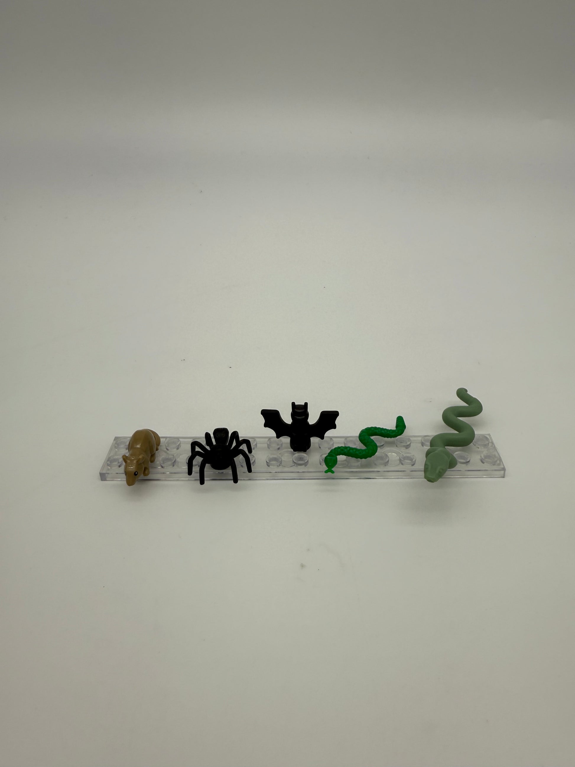 Creepy Crawlers Pet Packs - Bricks and Minifigs Sioux Falls